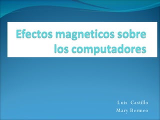 Luis  Castillo Mary Bermeo 