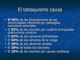 El tabaquismo causa El 90%  de las amputaciones de las extremidades inferiores por patologías vasculares arteriales. El  83%  de las muertes por cuadros bronquiales obstructivos crónicos El  82%  de los cánceres pulmonares El  50%  de los cánceres de la vejiga El  30%  de los cánceres renales El  30%  de todos los cánceres   El  25%  de las muertes por causas cardiacas 