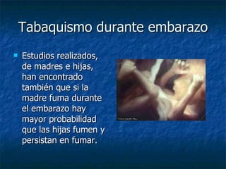 Tabaquismo durante embarazo Estudios realizados, de madres e hijas, han encontrado también que si la madre fuma durante el embarazo hay mayor probabilidad que las hijas fumen y persistan en fumar. 