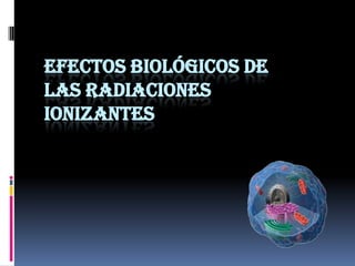 EFECTOS BIOLÓGICOS DE
LAS RADIACIONES
IONIZANTES
 