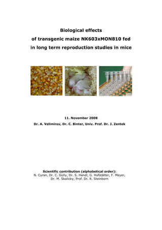 Biological effects
of transgenic maize NK603xMON810 fed
in long term reproduction studies in mice




                     11. November 2008

 Dr. A. Velimirov, Dr. C. Binter, Univ. Prof. Dr. J. Zentek




       Scientific contribution (alphabetical order):
 N. Cyran, Dr. C. Gülly, Dr. S. Handl, G. Hofstätter, F. Meyer,
            Dr. M. Skalicky, Prof. Dr. R. Steinborn
 