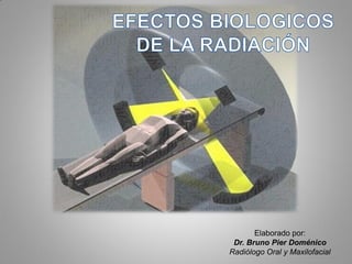 Elaborado por:
Dr. Bruno Pier Doménico
Radiólogo Oral y Maxilofacial
 