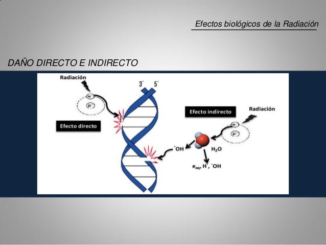 Efectos Biologicos De La Radiacion Infrarroja
