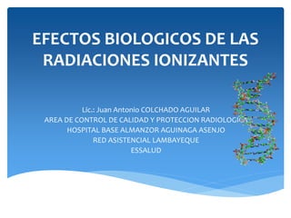 EFECTOS BIOLOGICOS DE LAS
RADIACIONES IONIZANTES
Lic.: Juan Antonio COLCHADO AGUILAR
AREA DE CONTROL DE CALIDAD Y PROTECCION RADIOLOGICA
HOSPITAL BASE ALMANZOR AGUINAGA ASENJO
RED ASISTENCIAL LAMBAYEQUE
ESSALUD
 