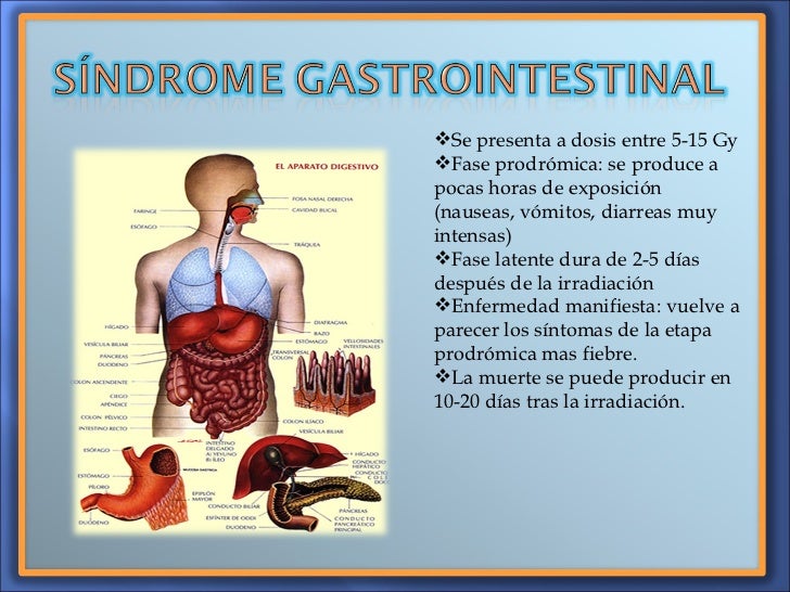 Resultado de imagen para aparato digestivo radicación ionizante