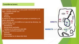 En el método indirecto, no solo puede interactuar con el
agua, también puede con:
- Carbohidratos
- Lípidos
- Proteínas
El efecto en ellas es transitorio porque se sintetizan y no
efecto apreciable.
Si las lesiones son en el ADN en el caso de las directas, los
efectos pueden ser:
- Hereditarios
- Mutuaciones puntuales
- Cambios en la estructura del ADN
Los efectos somáticos pueden ser:
- Tumores
- Esterelidad
- Anormalidad en el desarrollo fetal
Consideraciones:
 