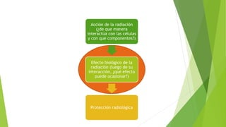 Acción de la radiación
(¿de que manera
interactúa con las células
y con que componentes?)
Efecto biológico de la
radiación (luego de su
interacción, ¿qué efecto
puede ocasionar?)
Protección radiológica
 