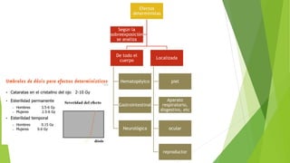 Efectos
deterministas
De todo el
cuerpo
Hematopéyico
Gastrointestinal
Neurológica
Localizada
piel
Aparato
respiratorio,
disgestivo, etc
ocular
reproductor
Según la
sobreexposición
se analiza
 