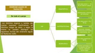 SAR
HEMATOPÉYICO
Con dosis entre 1 – 10
Gy en todo el cuerpo
Disminución y muerte
de linfocitos
GASTROINTESTINAL
Con dosis entre 10 y
50 Gy
Anorexia, letargia,
disminución de fluidos
y electrolitos, etc
NEUROLÓGICA
Con dosis superiores a
50 Gy
Cambios patológicos en
el sistema nervioso
central, edemas y
hemorragias
SÍNDROME AGUDO DE
RADIACIÓN
De todo el cuerpo
Los distintos órganos y tejidos del
cuerpo expresan insuficiencia en
distintos rangos de dosis, y según la
misma se pueden distinguir las
siguientes formas del Síndrome Agudo
de Radiación (SAR)
 