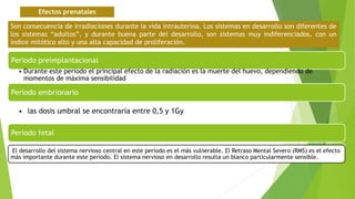 Efectos prenatales
Son consecuencia de irradiaciones durante la vida intrauterina. Los sistemas en desarrollo son diferentes de
los sistemas “adultos”, y durante buena parte del desarrollo, son sistemas muy indiferenciados, con un
índice mitótico alto y una alta capacidad de proliferación.
Periodo preimplantacional
• Durante este período el principal efecto de la radiación es la muerte del huevo, dependiendo de
momentos de máxima sensibilidad
Período embrionario
• las dosis umbral se encontraría entre 0,5 y 1Gy
Periodo fetal
El desarrollo del sistema nervioso central en este período es el más vulnerable. El Retraso Mental Severo (RMS) es el efecto
más importante durante este período. El sistema nervioso en desarrollo resulta un blanco particularmente sensible.
 