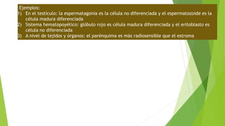 Ejemplos:
1) En el testículo: la espermatagonia es la célula no diferenciada y el espermatozoide es la
célula madura diferenciada
2) Sistema hematopoyético: glóbulo rojo es célula madura diferenciada y el eritoblasto es
célula no diferenciada
3) A nivel de tejidos y órganos: el parénquima es más radiosensible que el estroma
 
