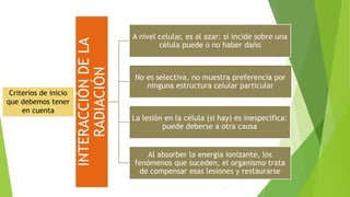 INTERACCIÓN
DE
LA
RADIACIÓN
A nivel celular, es al azar: si incide sobre una
célula puede o no haber daño
No es selectiva, no muestra preferencia por
ninguna estructura celular particular
La lesión en la célula (si hay) es inespecífica:
puede deberse a otra causa
Al absorber la energía ionizante, los
fenómenos que suceden, el organismo trata
de compensar esas lesiones y restaurarse
Criterios de inicio
que debemos tener
en cuenta
 