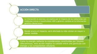 ACCIÓN DIRECTA
La interacción es azarosa y se explica por el impacto de las radiaciones con
moléculas únicas e insustituibles: ADN y generan cambios en la información
genética (Mutaciones)
Donde ocurra el impacto, será afectada la vida celular en mayor o
menor medida
Como la energía radiante la consideramos constituidas por fotones
(discontinua), esta acción implica la colisión entre una partícula con
energía y los componentes celulares.
 