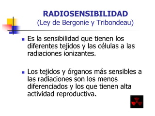RADIOSENSIBILIDAD
(Ley de Bergonie y Tribondeau)
 Es la sensibilidad que tienen los
diferentes tejidos y las células a las
radiaciones ionizantes.
 Los tejidos y órganos más sensibles a
las radiaciones son los menos
diferenciados y los que tienen alta
actividad reproductiva.
 