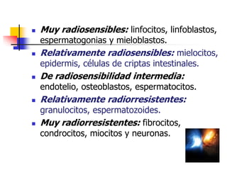  Muy radiosensibles: linfocitos, linfoblastos,
espermatogonias y mieloblastos.
 Relativamente radiosensibles: mielocitos,
epidermis, células de criptas intestinales.
 De radiosensibilidad intermedia:
endotelio, osteoblastos, espermatocitos.
 Relativamente radiorresistentes:
granulocitos, espermatozoides.
 Muy radiorresistentes: fibrocitos,
condrocitos, miocitos y neuronas.
 