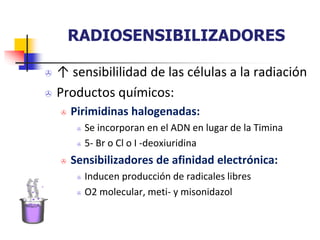 RADIOSENSIBILIZADORES
 ↑ sensibililidad de las células a la radiación
 Productos químicos:
 Pirimidinas halogenadas:
 Se incorporan en el ADN en lugar de la Timina
 5- Br o Cl o I -deoxiuridina
 Sensibilizadores de afinidad electrónica:
 Inducen producción de radicales libres
 O2 molecular, meti- y misonidazol
 