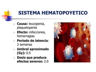 SISTEMA HEMATOPOYETICO
 Causa: leucopenia,
plaquetopenia
 Efecto: infecciones,
hemorragias
 Período de latencia:
2 semanas
 Umbral aproximado
(Gy): 0.5
 Dosis que produce
efectos severos: 2.0
 