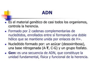 ADN
 Es el material genético de casi todos los organismos,
controla la herencia.
 Formado por 2 cadenas complementarias de
nucleótidos, enrollados entre sí formando una doble
hélice que se mantiene unida por enlaces de H+.
 Nucleótido formado por: un azúcar (desoxirribosa),
una base nitrogenada (A-T, C-G) y un grupo fosfato.
 Gen: es una secuencia de ADN, que constituye la
unidad fundamental, física y funcional de la herencia.
 