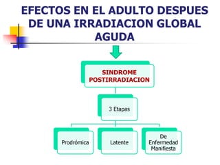EFECTOS EN EL ADULTO DESPUES
DE UNA IRRADIACION GLOBAL
AGUDA
SINDROME
POSTIRRADIACION
3 Etapas
Prodrómica Latente
De
Enfermedad
Manifiesta
 