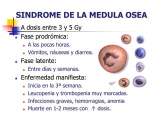 SINDROME DE LA MEDULA OSEA
 A dosis entre 3 y 5 Gy
 Fase prodrómica:
 A las pocas horas.
 Vómitos, náuseas y diarrea.
 Fase latente:
 Entre días y semanas.
 Enfermedad manifiesta:
 Inicia en la 3ª semana.
 Leucopenia y trombopenia muy marcadas.
 Infecciones graves, hemorragias, anemia
 Muerte en 1-2 meses con ↑ dosis.
 