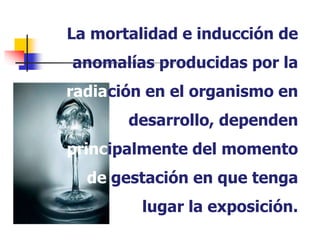 La mortalidad e inducción de
anomalías producidas por la
radiación en el organismo en
desarrollo, dependen
principalmente del momento
de gestación en que tenga
lugar la exposición.
 