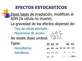 EFECTOS ESTOCASTICOS
Dosis bajas de irradiación, modifican el
ADN (la célula no muere).
La gravedad de los efectos depende de:
Tipo de célula afectada.
Mecanismo de acción.
No existe dosis umbral.
Tipos:
Hereditarios.
Somáticos.
 