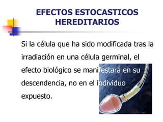 EFECTOS ESTOCASTICOS
HEREDITARIOS
Si la célula que ha sido modificada tras la
irradiación en una célula germinal, el
efecto biológico se manifestará en su
descendencia, no en el individuo
expuesto.
 