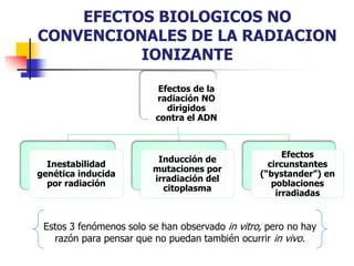EFECTOS BIOLOGICOS NO
CONVENCIONALES DE LA RADIACION
IONIZANTE
Efectos de la
radiación NO
dirigidos
contra el ADN
Inestabilidad
genética inducida
por radiación
Inducción de
mutaciones por
irradiación del
citoplasma
Efectos
circunstantes
(“bystander”) en
poblaciones
irradiadas
Estos 3 fenómenos solo se han observado in vitro, pero no hay
razón para pensar que no puedan también ocurrir in vivo.
 