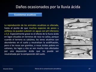 Eduardo Gómez
Daños ocasionados por la lluvia ácida
La reproducción de los animales acuáticos es alterada,
hasta el punto de que muchas especies de peces y
anfibios no pueden subsistir en aguas con pH inferiores
a 5,5. Especialmente grave es el efecto de la lluvia ácida
en lagos situados en terrenos de roca no caliza, porque
cuando el terreno es calcáreo, los iones alcalinos son
abundantes en el suelo y neutralizan la acidificación,
pero si las rocas son granitos, o rocas ácidas pobres en
cationes, los lagos y ríos se ven mucho más afectados
por una deposición ácida que no puede ser
neutralizada por la composición del suelo.
Ecosistemas acuáticos
23Efectos de la contaminación atmosférica
 
