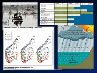 Eduardo Gómez 24Efectos de la contaminación atmosférica
 