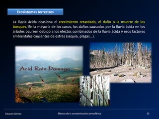 Eduardo Gómez
La lluvia ácida ocasiona el crecimiento retardado, el daño o la muerte de los
bosques. En la mayoría de los casos, los daños causados por la lluvia ácida en los
árboles ocurren debido a los efectos combinados de la lluvia ácida y esos factores
ambientales causantes de estrés (sequía, plagas…).
Ecosistemas terrestres
25Efectos de la contaminación atmosférica
 