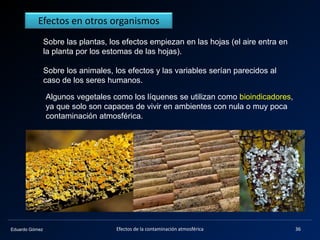 Eduardo Gómez
Sobre las plantas, los efectos empiezan en las hojas (el aire entra en
la planta por los estomas de las hojas).
Sobre los animales, los efectos y las variables serían parecidos al
caso de los seres humanos.
Efectos en otros organismos
Algunos vegetales como los líquenes se utilizan como bioindicadores,
ya que solo son capaces de vivir en ambientes con nula o muy poca
contaminación atmosférica.
36Efectos de la contaminación atmosférica
 