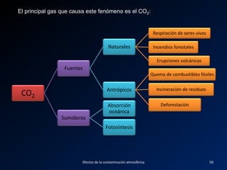 CO2
Fuentes
Naturales
Respiración de seres vivos
Incendios forestales
Erupciones volcánicas
Antrópicos
Quema de combustibles fósiles
Incineración de residuos
Deforestación
Sumideros
Absorción
oceánica
Fotosíntesis
Efectos de la contaminación atmosférica 50
El principal gas que causa este fenómeno es el CO2:
 