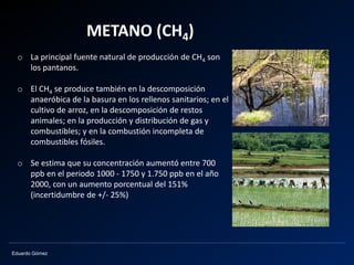 Eduardo Gómez
METANO (CH4)
o La principal fuente natural de producción de CH4 son
los pantanos.
o El CH4 se produce también en la descomposición
anaeróbica de la basura en los rellenos sanitarios; en el
cultivo de arroz, en la descomposición de restos
animales; en la producción y distribución de gas y
combustibles; y en la combustión incompleta de
combustibles fósiles.
o Se estima que su concentración aumentó entre 700
ppb en el periodo 1000 - 1750 y 1.750 ppb en el año
2000, con un aumento porcentual del 151%
(incertidumbre de +/- 25%)
 