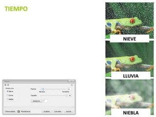 TIEMPO NIEVE LLUVIA NIEBLA 