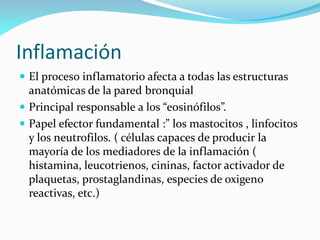 Inflamación
 El proceso inflamatorio afecta a todas las estructuras
  anatómicas de la pared bronquial
 Principal respon...