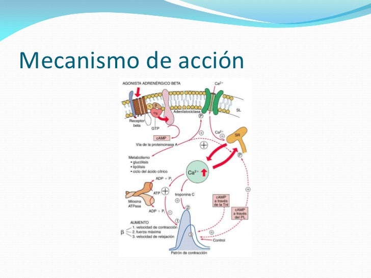 Efectos de farmacos en el s respiratorio