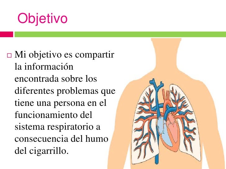 El programa que permite a dejar fumar