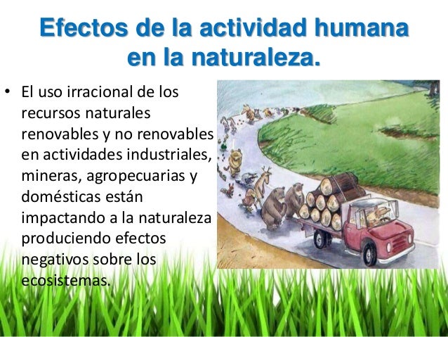 Efectos de la actividad humana sobre la naturaleza