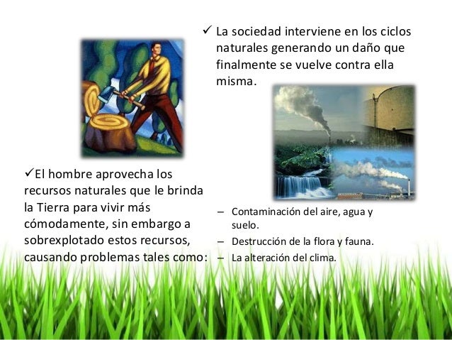 Efectos de la actividad humana sobre la naturaleza