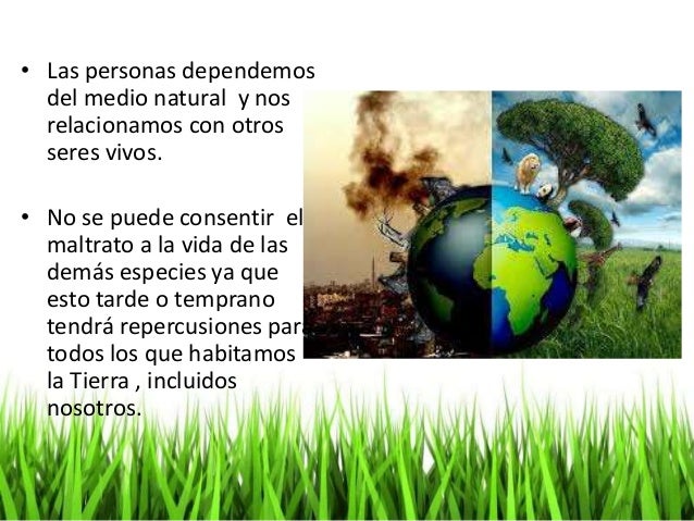Get Impacto De Actividades Humanas Sobre La Naturaleza