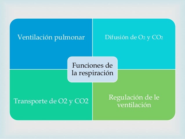 Efectos de la altura, obesidad y ejercicio Efectos de la altura, obesidad y ejercicio