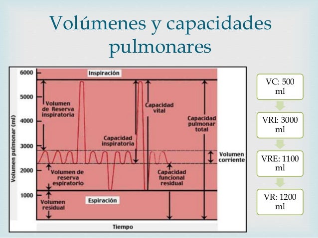 Efectos de la altura, obesidad y ejercicio Efectos de la altura, obesidad y ejercicio