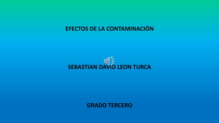 EFECTOS DE LA CONTAMINACIÓN
SEBASTIAN DAVID LEON TURCA
GRADO TERCERO
 
