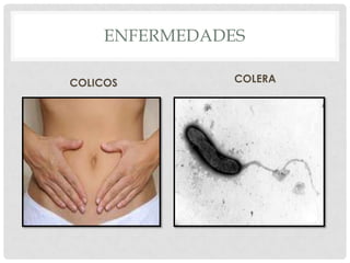 SUSTANCIAS CONTAMINANTES 