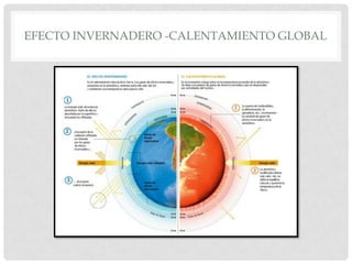 Efectos contaminantes en la saludo  por el calentamiento globalMEJIA OROYA ROBERTO ANDRÉ