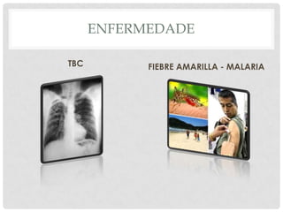 EFECTO INVERNADERO -CALENTAMIENTO GLOBAL