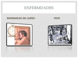 ENFERMEDADESGRIPE AVIAREBOLA