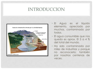 Efectos contaminantes en la salud por medio del aguaGEORGE MARTINEZ MENACHO