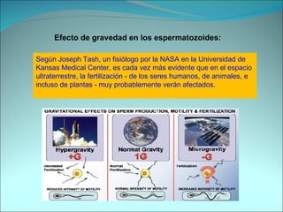 Efecto de gravedad en los espermatozoides: Según Joseph Tash, un fisiólogo por la NASA en la Universidad de Kansas Medical Center, es cada vez más evidente que en el espacio ultraterrestre, la fertilización - de los seres humanos, de animales, e incluso de plantas - muy probablemente verán afectados. 